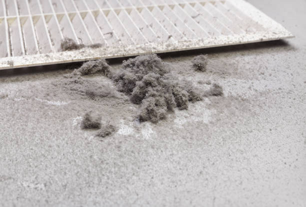 Best Residential Air Duct Cleaning  in Lake Of The Woods, VA