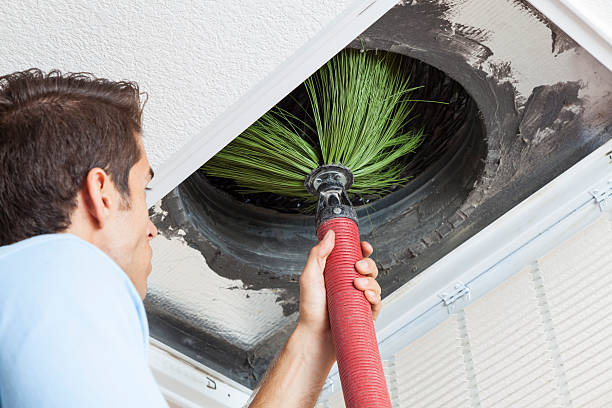 Best Affordable Duct Cleaning Services  in Lake Of The Woods, VA